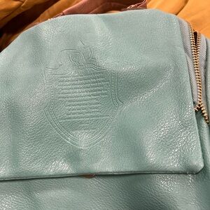 Cettu Chic Teal Leather purse